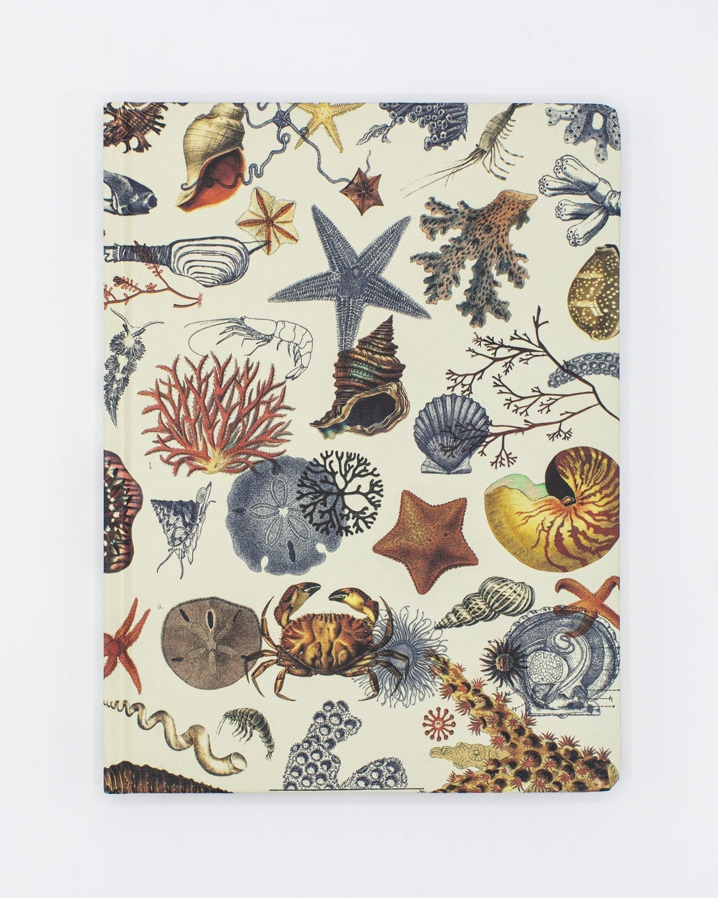 Marine Biology Notebook - Hardcover | Dot Grid Journal – Cognitive Surplus