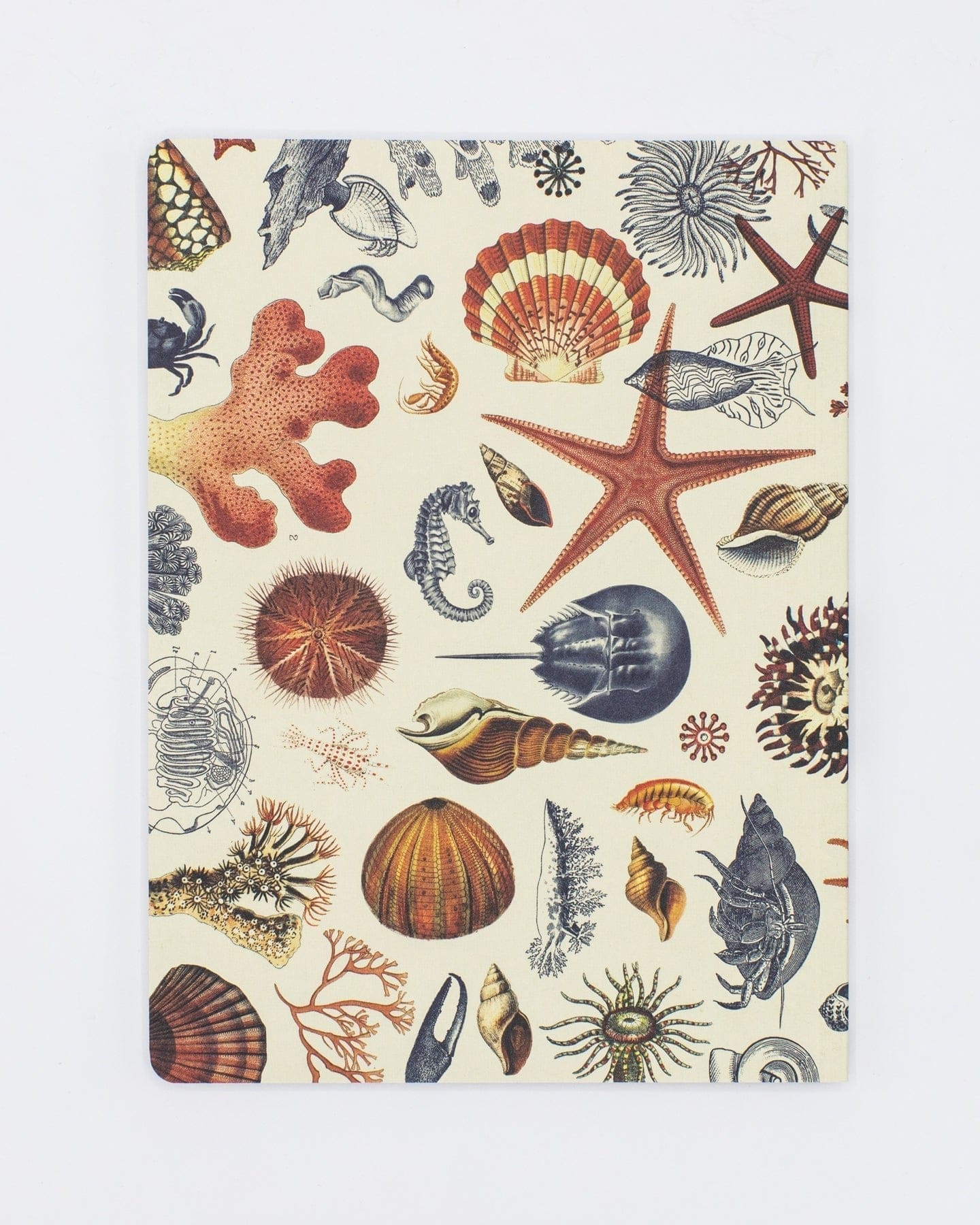 Shallow Seas Plate 2 Softcover- Lined Cognitive Surplus