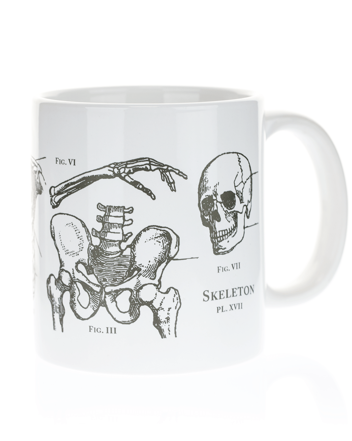 Skeleton 20 oz Mega Mug Cognitive Surplus