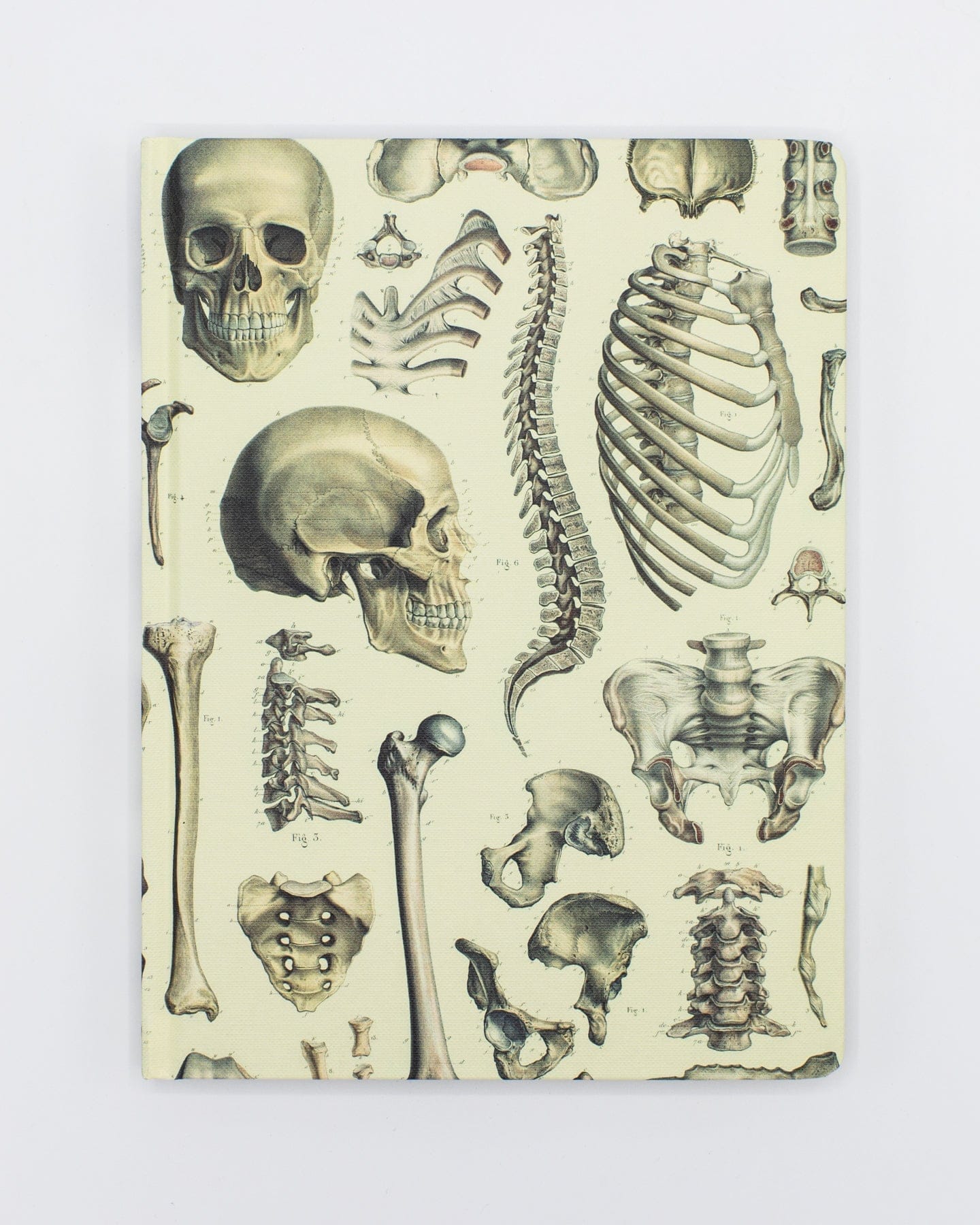 Skeleton Pl 2 Hardcover - Dot Grid Cognitive Surplus