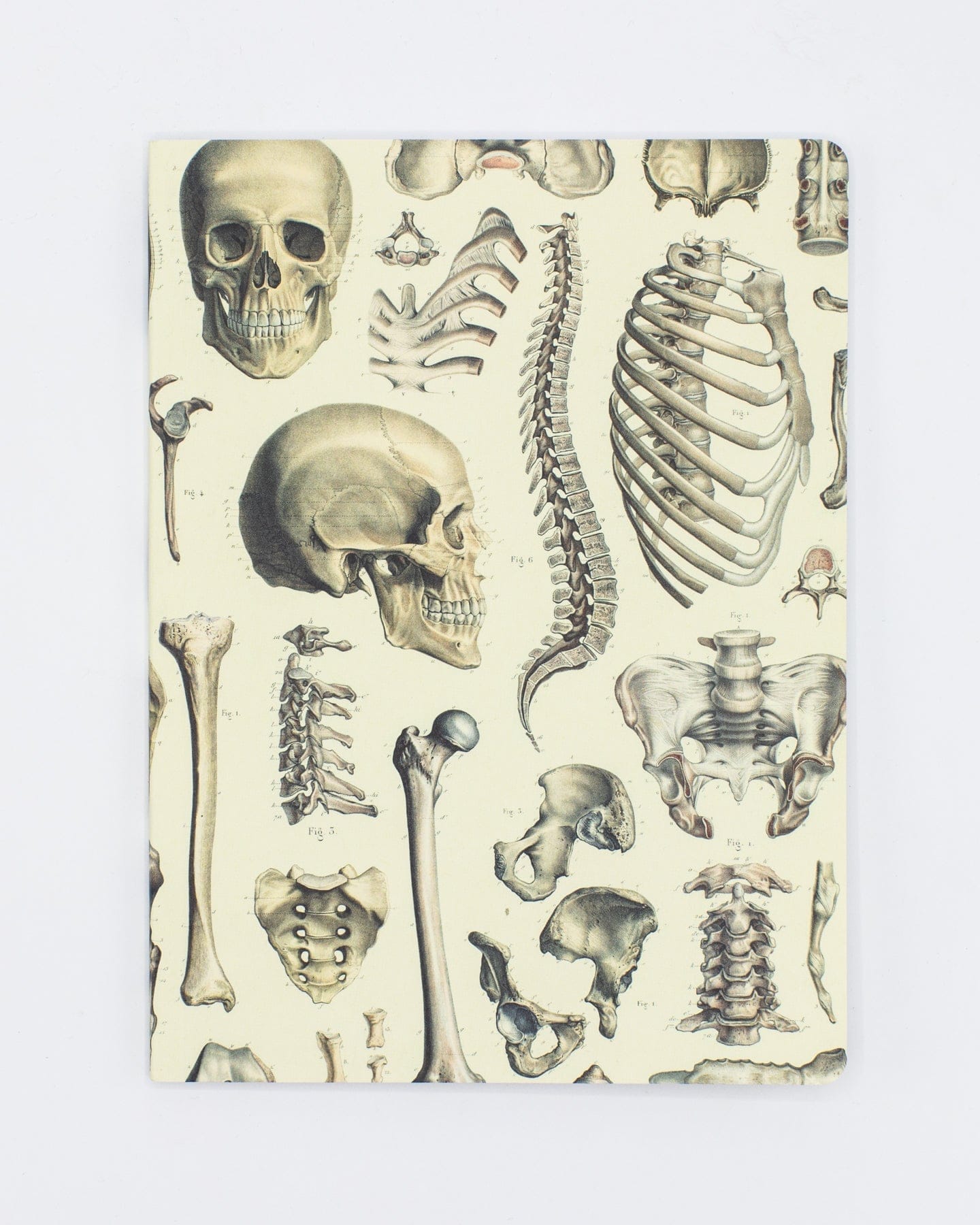 Skeleton Plate 2 Softcover - Lined Cognitive Surplus