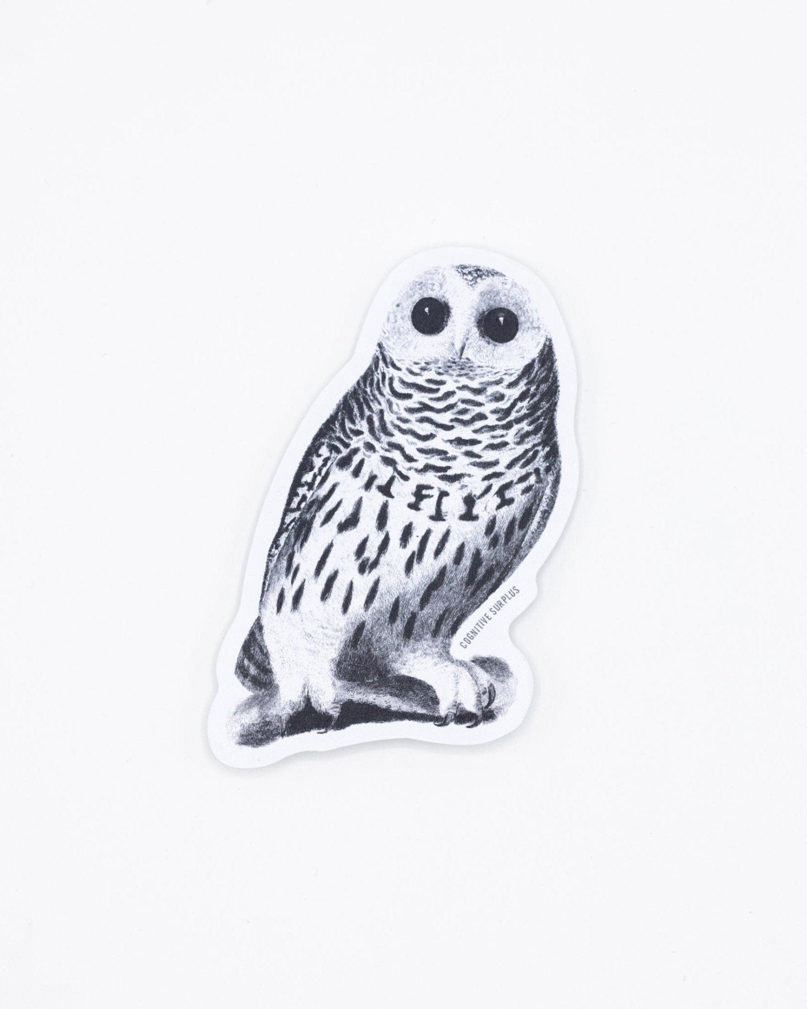 Snowy Owl Sticker Cognitive Surplus