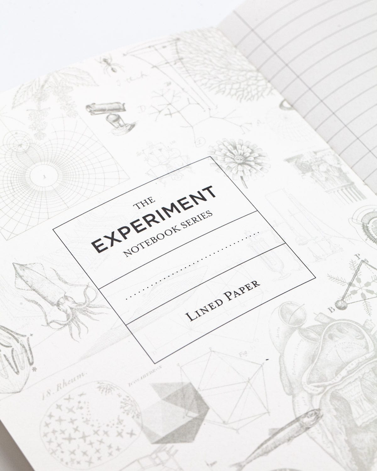 Space Softcover Notebook | Astronomy Gifts – Cognitive Surplus