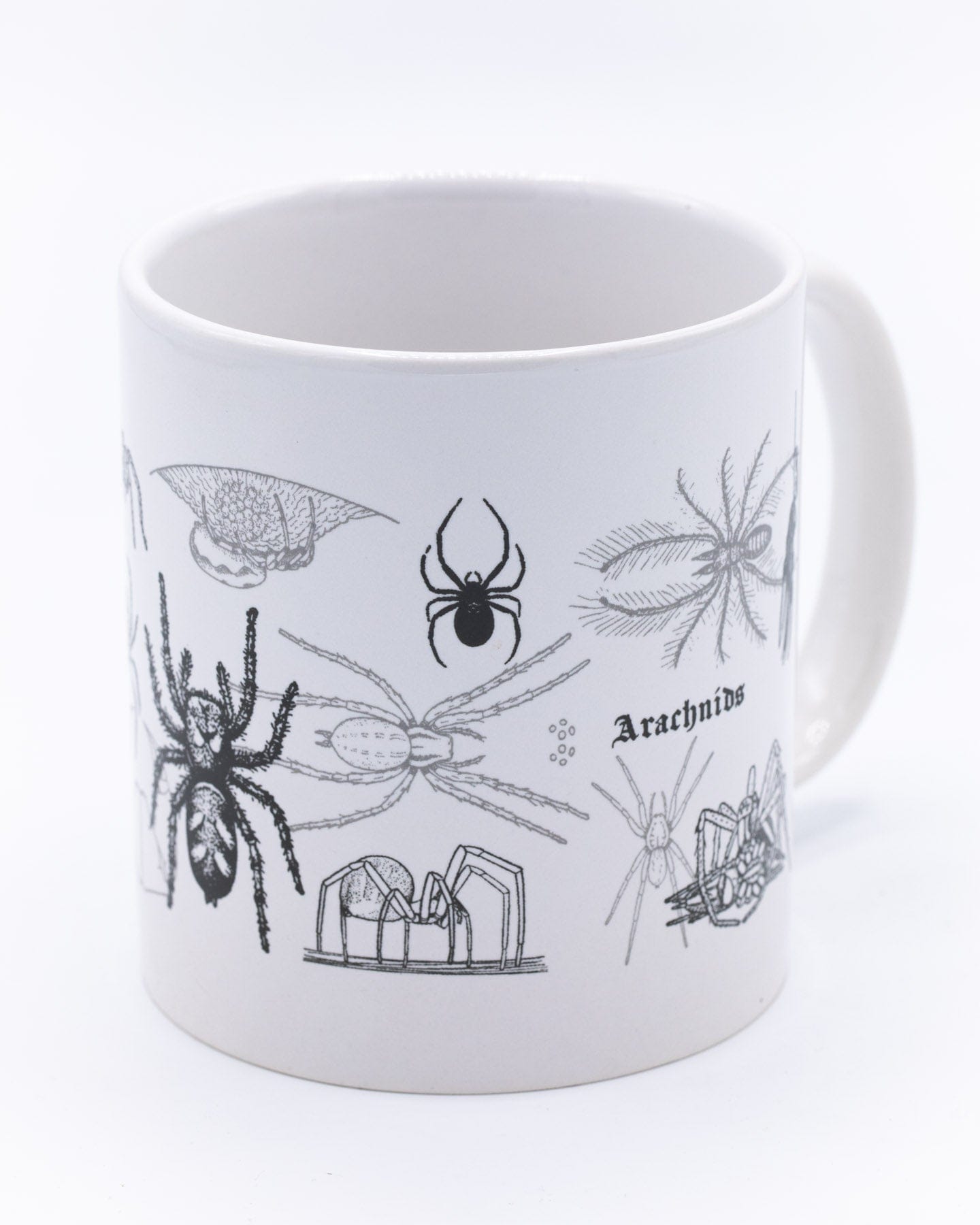Spiders 20 oz Mega Mug Cognitive Surplus