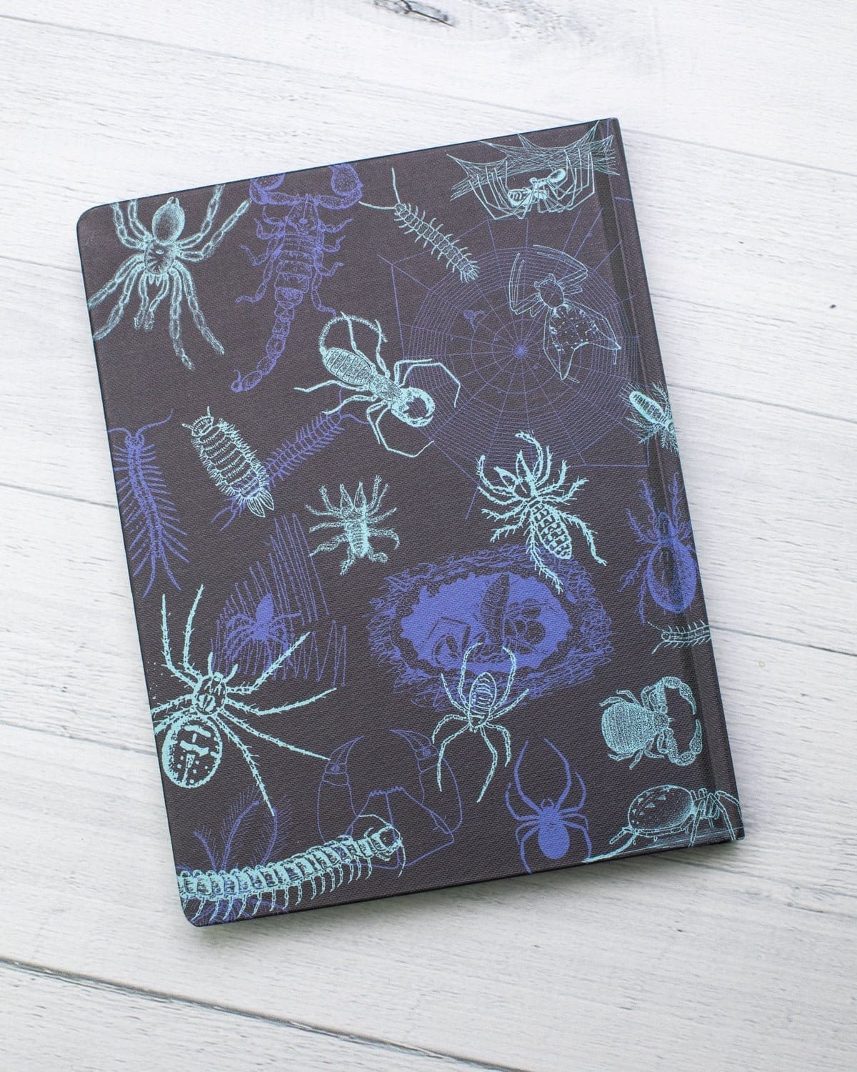 Spiders & Scorpions Hardcover - Lined/Grid Cognitive Surplus