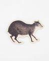 A Cognitive Surplus sticker with a drawing of an Agouti.