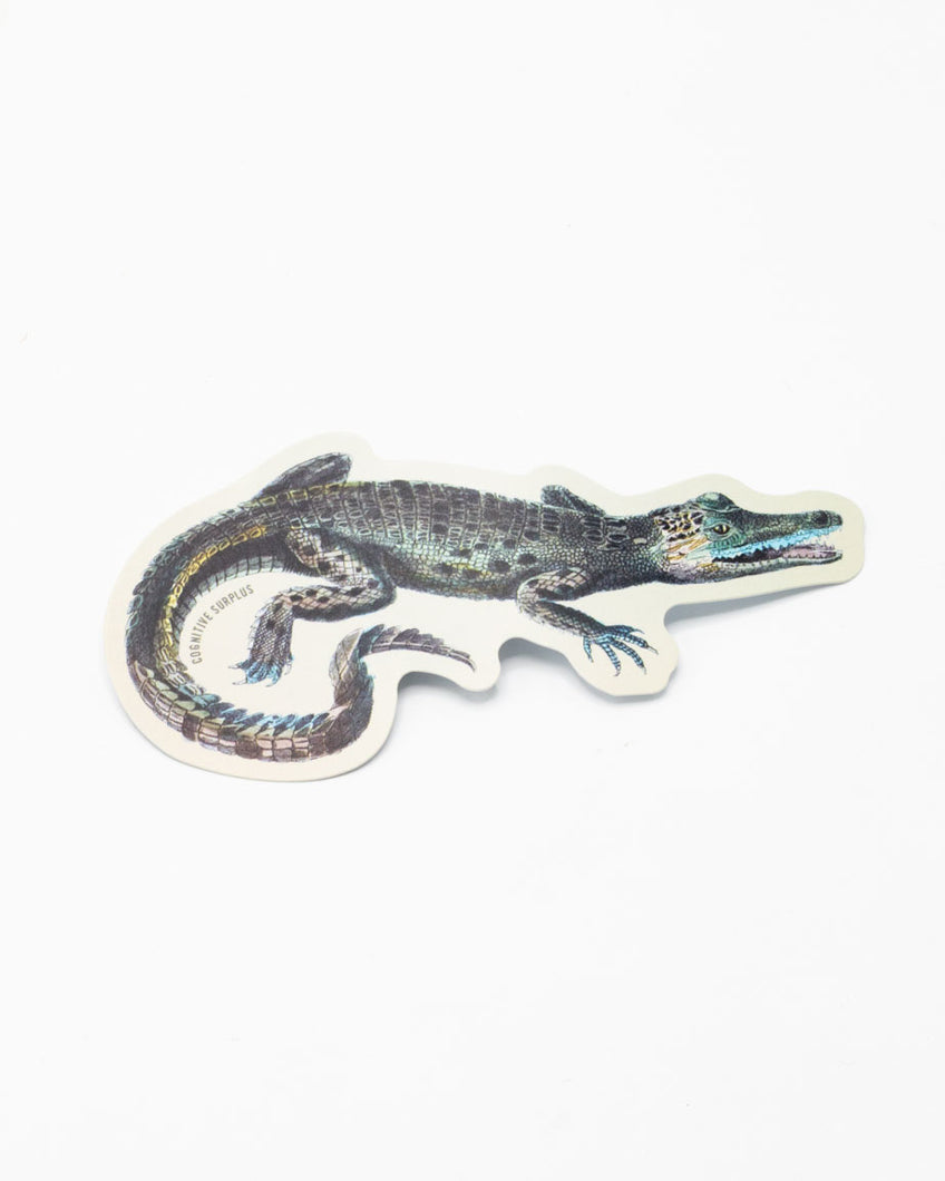 Alligator Sticker – Cognitive Surplus