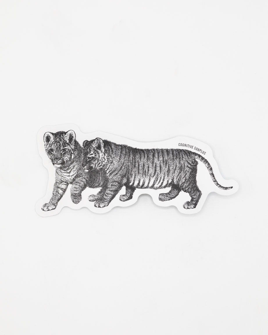 A Bengal Tiger Cubs Sticker with two tiger cubs on it, made by Cognitive Surplus.