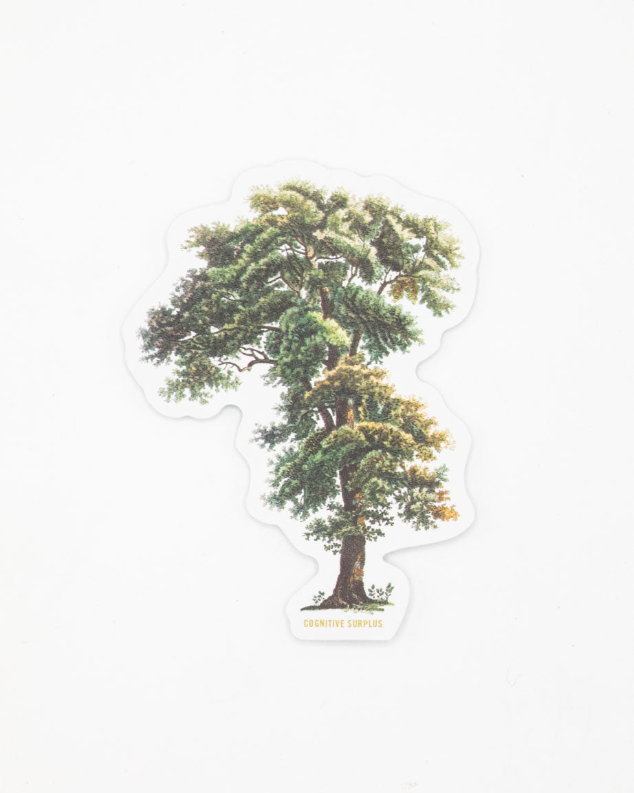 A Tall Tree Sticker with the Cognitive Surplus brand on it.