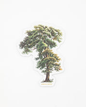 Tall Tree Sticker – Cognitive Surplus