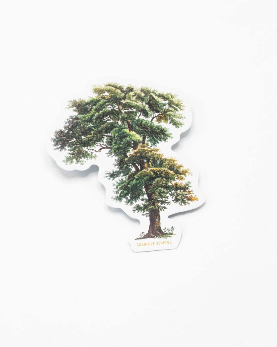 Tall Tree Sticker – Cognitive Surplus