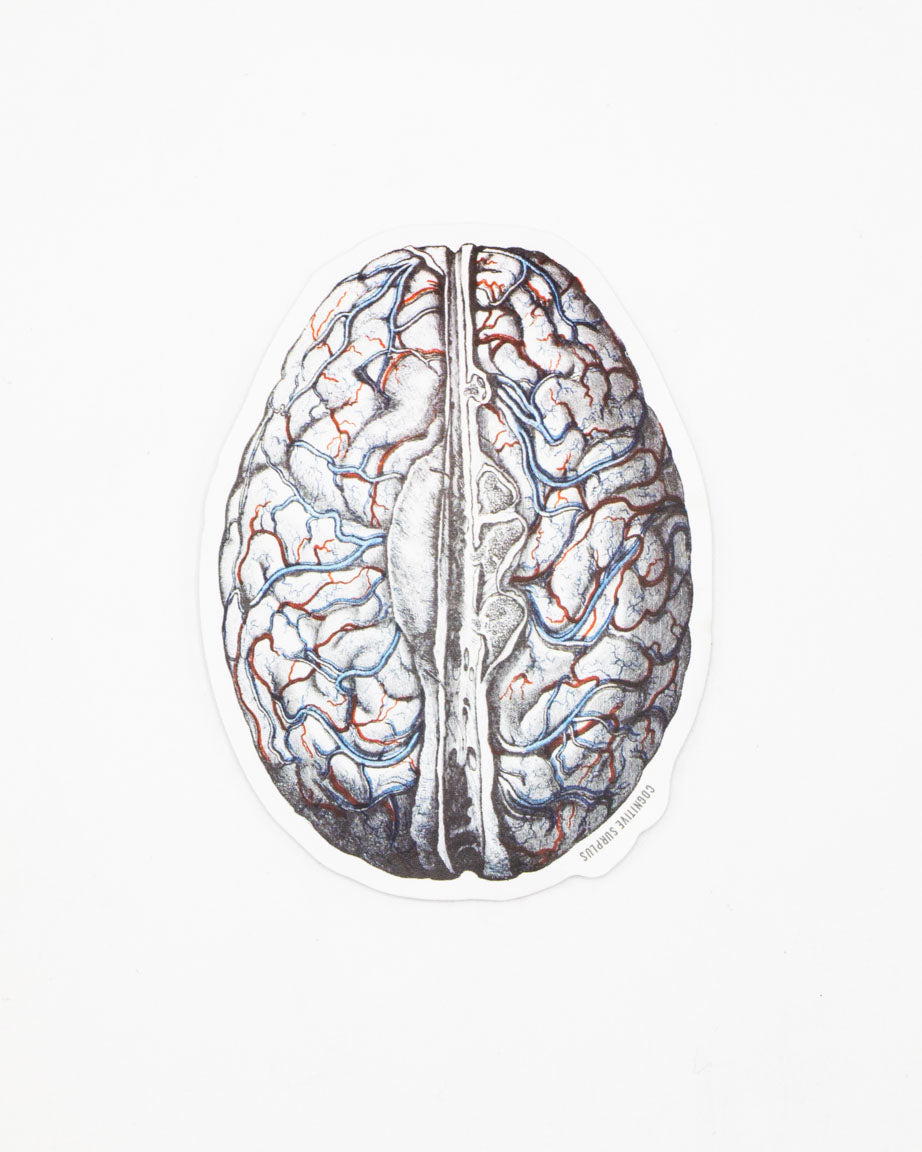 An illustration of a Cognitive Surplus Brain Blood Flow Sticker on a white surface.