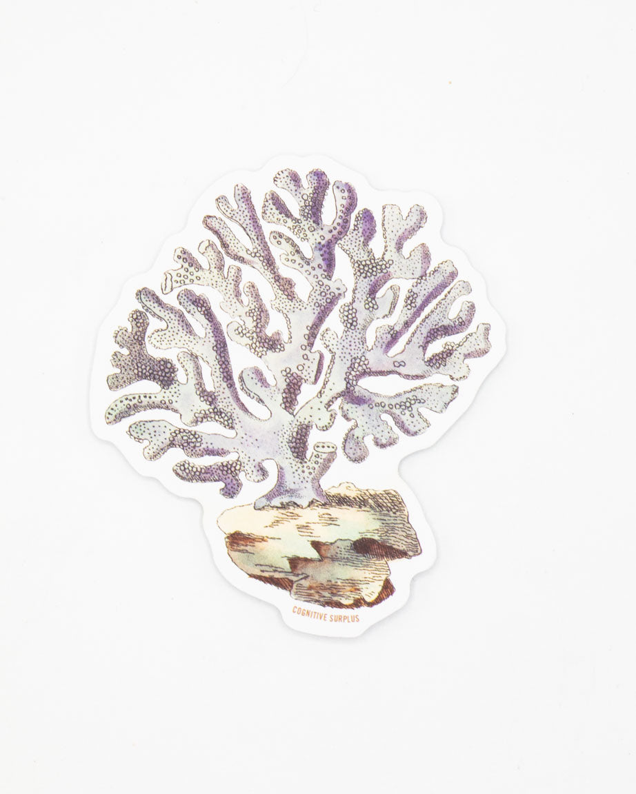 A Coral Sticker with a purple coral on it from Cognitive Surplus.