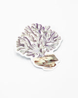 Coral Sticker
