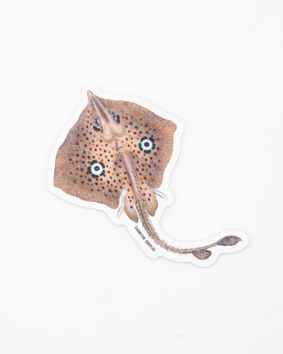 A Homelyn Mirror Ray Sticker with a sting ray on it.