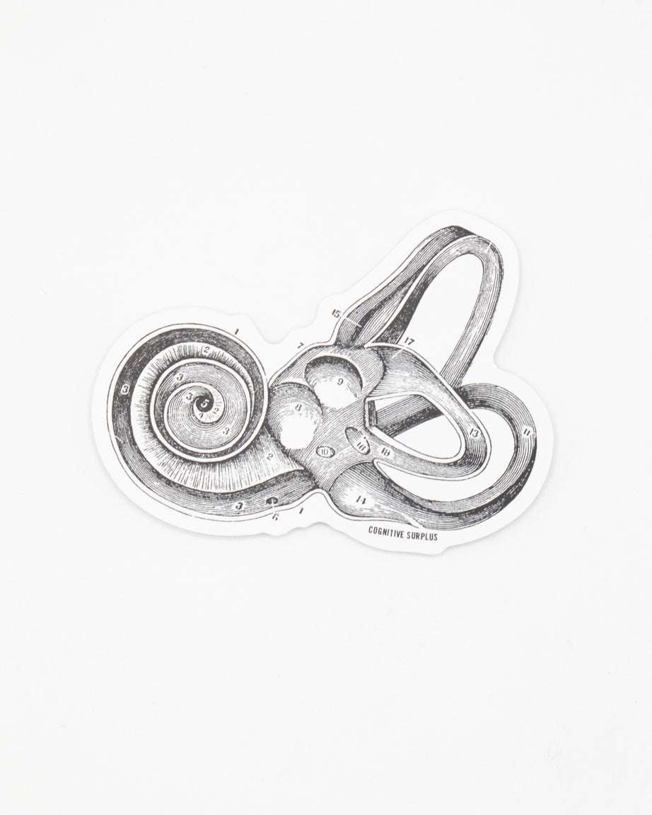 Inner Ear Sticker – Cognitive Surplus