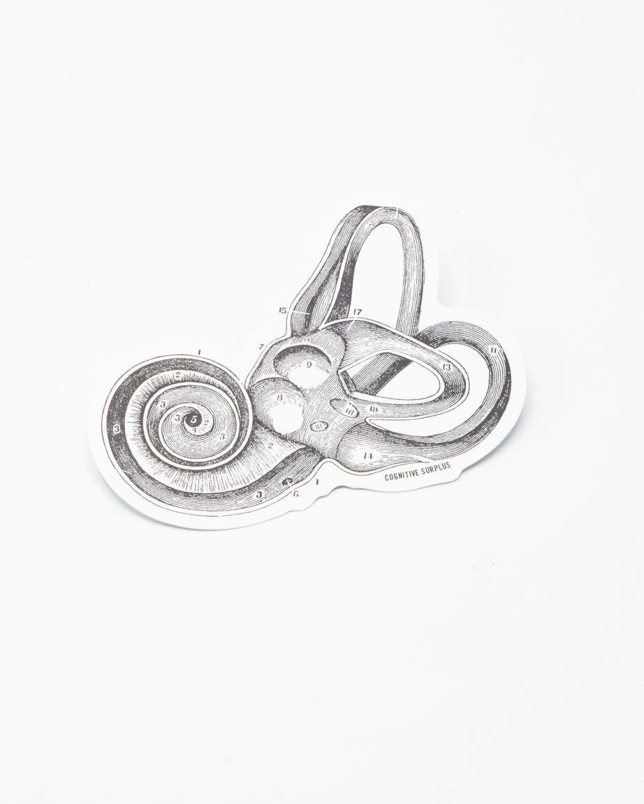 Inner Ear Sticker – Cognitive Surplus