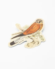 A Cognitive Surplus American Kestrel Sticker with an image of a kestrel perched on a branch.