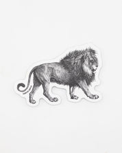 A black and white drawing of a Lion Sticker by Cognitive Surplus on a white surface.