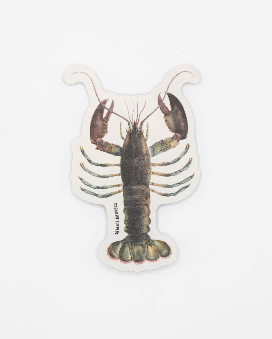 A Cognitive Surplus Lobster Sticker.