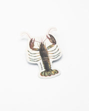 A Cognitive Surplus Lobster Sticker.