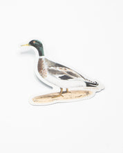 An image of a Mallard Sticker by Cognitive Surplus on a white background.