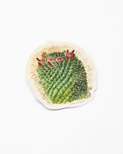 A Mammillaria Cactus Sticker with Cognitive Surplus on it.