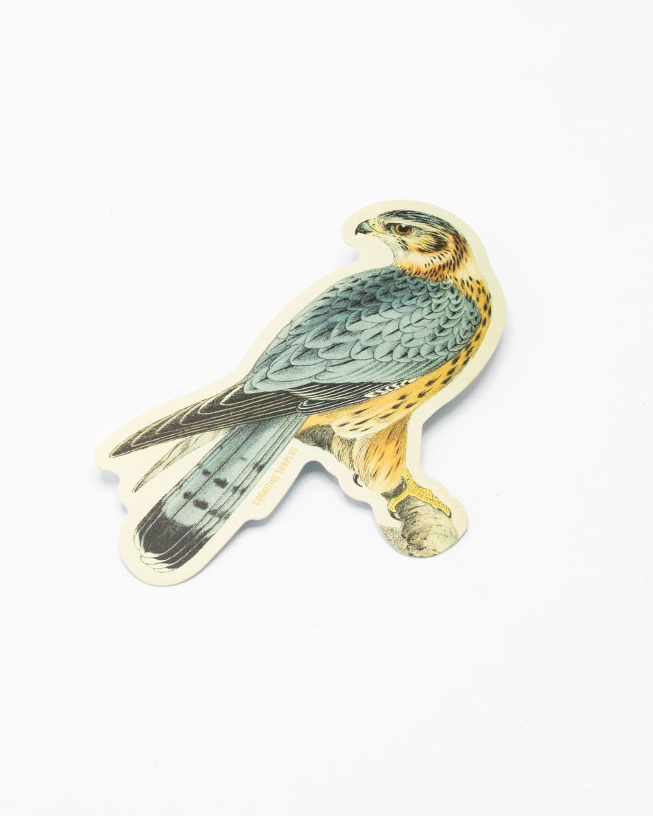 Merlin Falcon Sticker – Cognitive Surplus