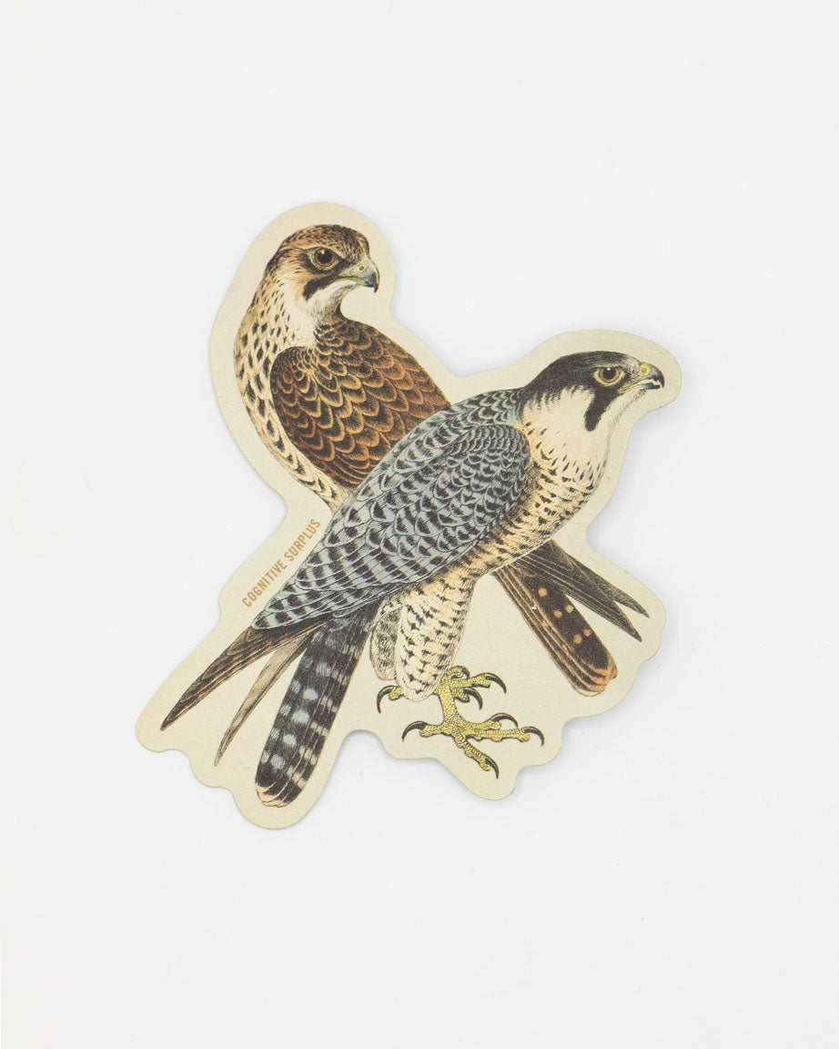 A Peregrine Falcon Sticker with a pair of falcons on it, made by Cognitive Surplus.