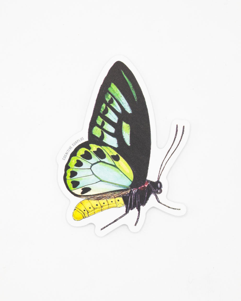 A Papilio Butterfly sticker by Cognitive Surplus on a white surface.
