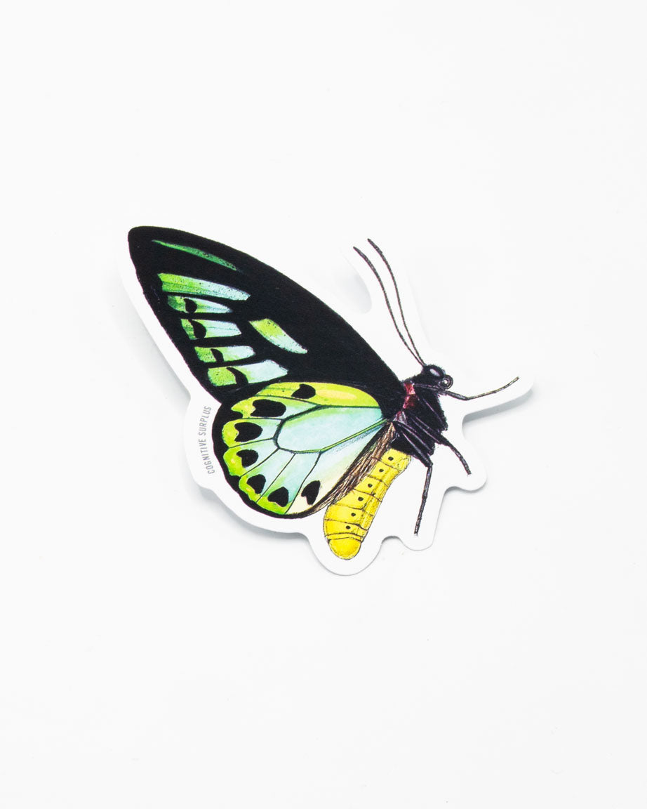 A Papilio Butterfly Sticker by Cognitive Surplus on a white background.