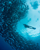 Plenty of Fish Mystery Sticker Pack