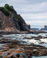 Shorelines Mystery Sticker Pack