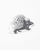 Porcupine Sticker