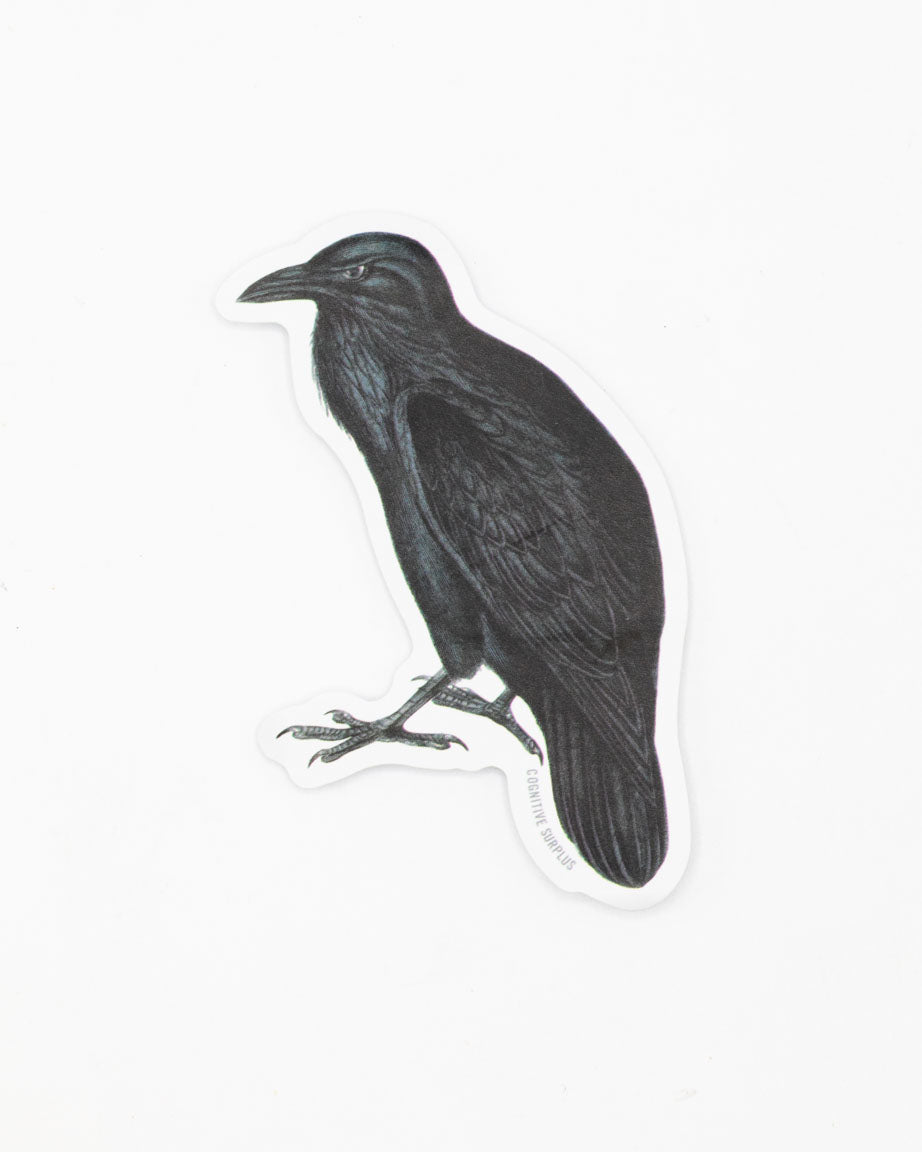 A Raven Sticker by Cognitive Surplus on a white background.