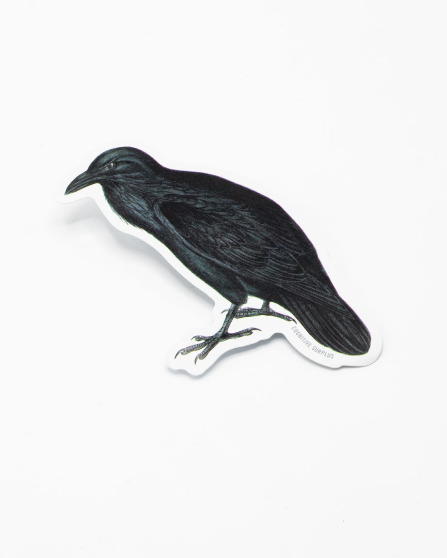 A Raven Sticker from Cognitive Surplus is sitting on top of a white surface.