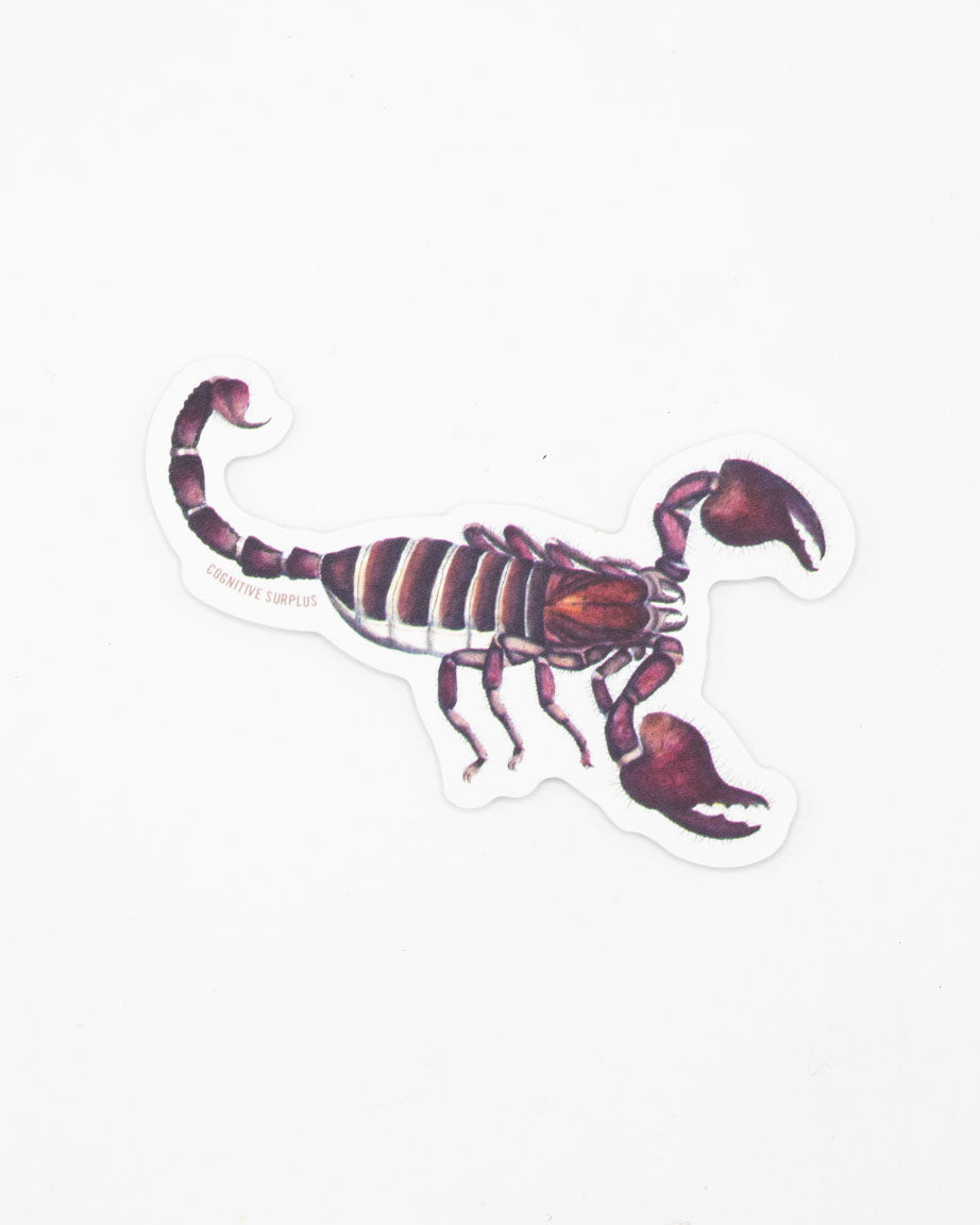 A Cognitive Surplus scorpion sticker on a white surface.