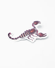 A Cognitive Surplus Scorpion Sticker on a white surface.
