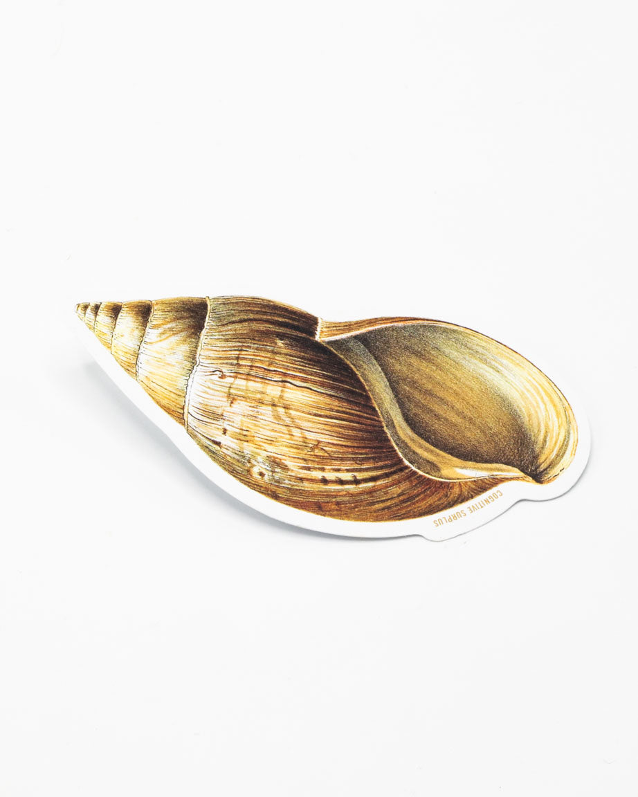 An illustration of a Sea Shell Sticker by Cognitive Surplus on a white surface.