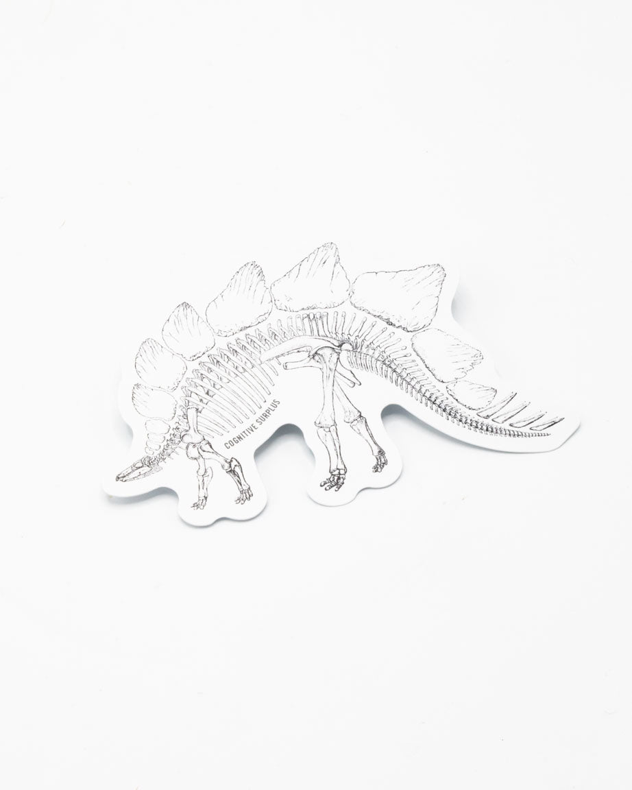 A Stegosaurus Skeleton Sticker by Cognitive Surplus on a white surface.