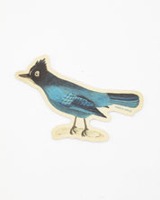 A Stellar Jay Sticker by Cognitive Surplus on a white background.