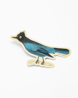 Steller Jay Sticker