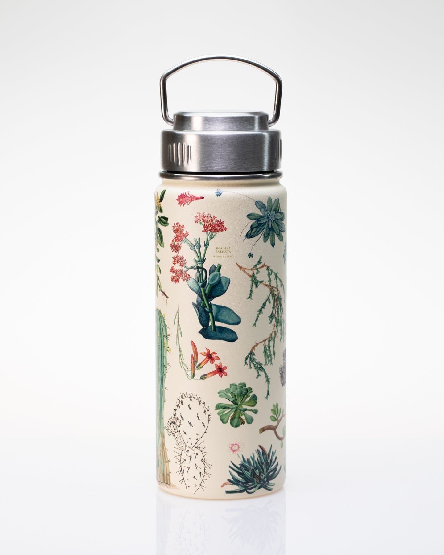 succulents in a bottle Succulents Stainless Steel Travel Mug