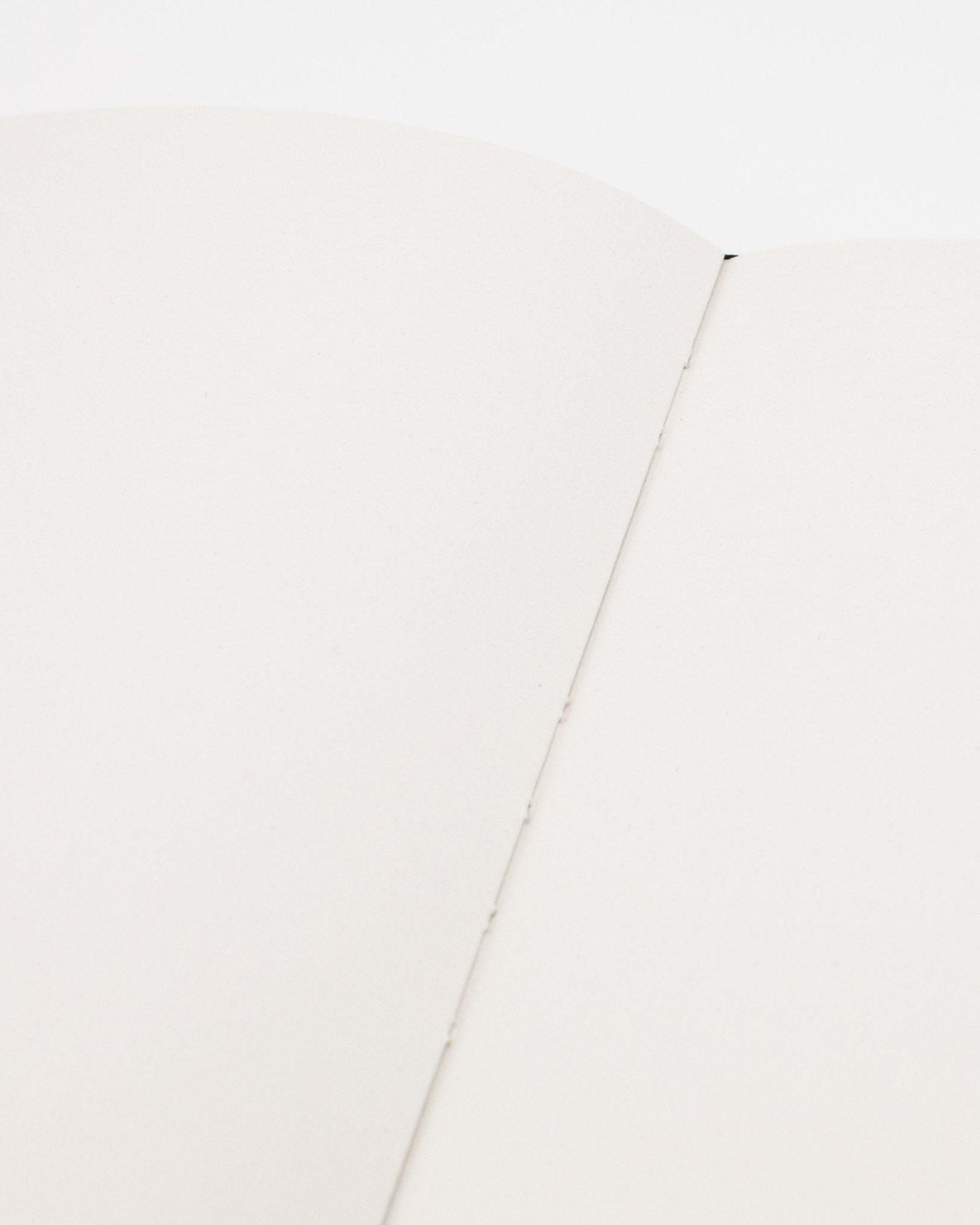 SECONDS: Succulents Hardcover Blank Cognitive Surplus SECONDS: Succulents Hardcover Blank Cognitive Surplus