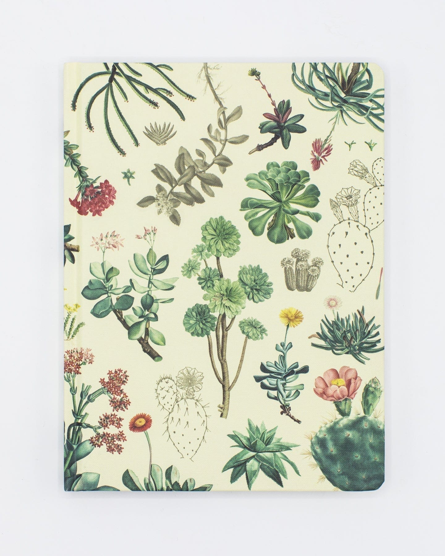 Succulents Hardcover - Blank Cognitive Surplus
