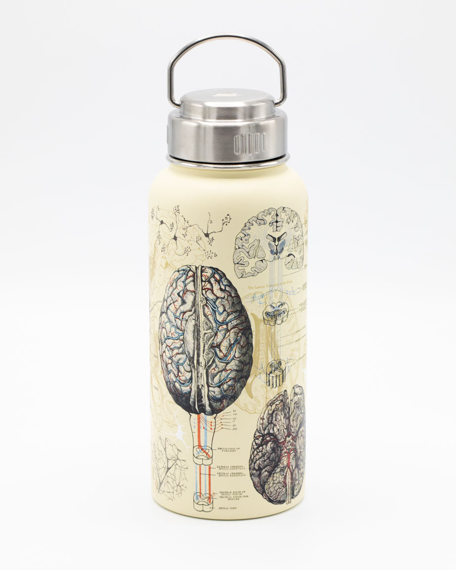 A Cognitive Surplus Brain & Neuroscience 32 oz Steel Bottle with an image of a brain.
