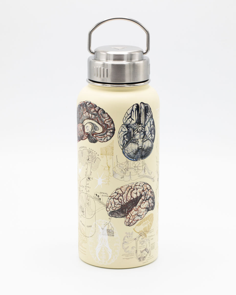 Brain & Neuroscience 18 oz Insulated Steel Bottle by Cognitive Surplus