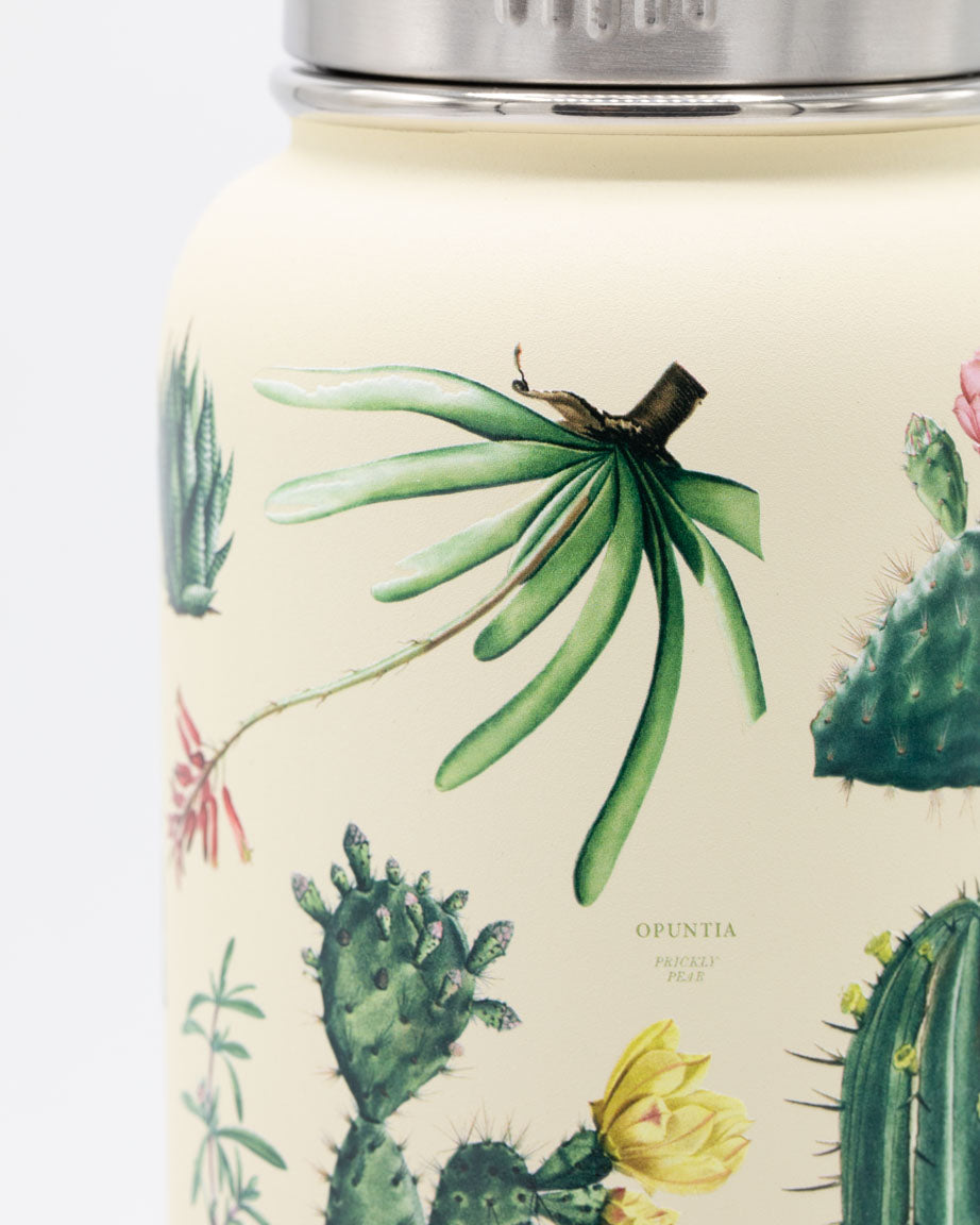succulent travel mug Succulents Stainless Steel Travel Mug