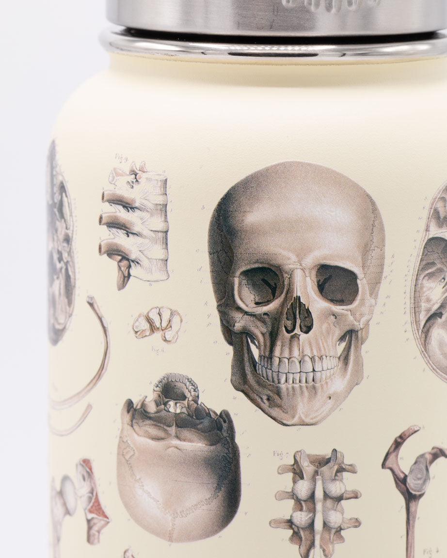 A Cognitive Surplus Skeleton 32 oz Steel Bottle with a skull and bones on it.
