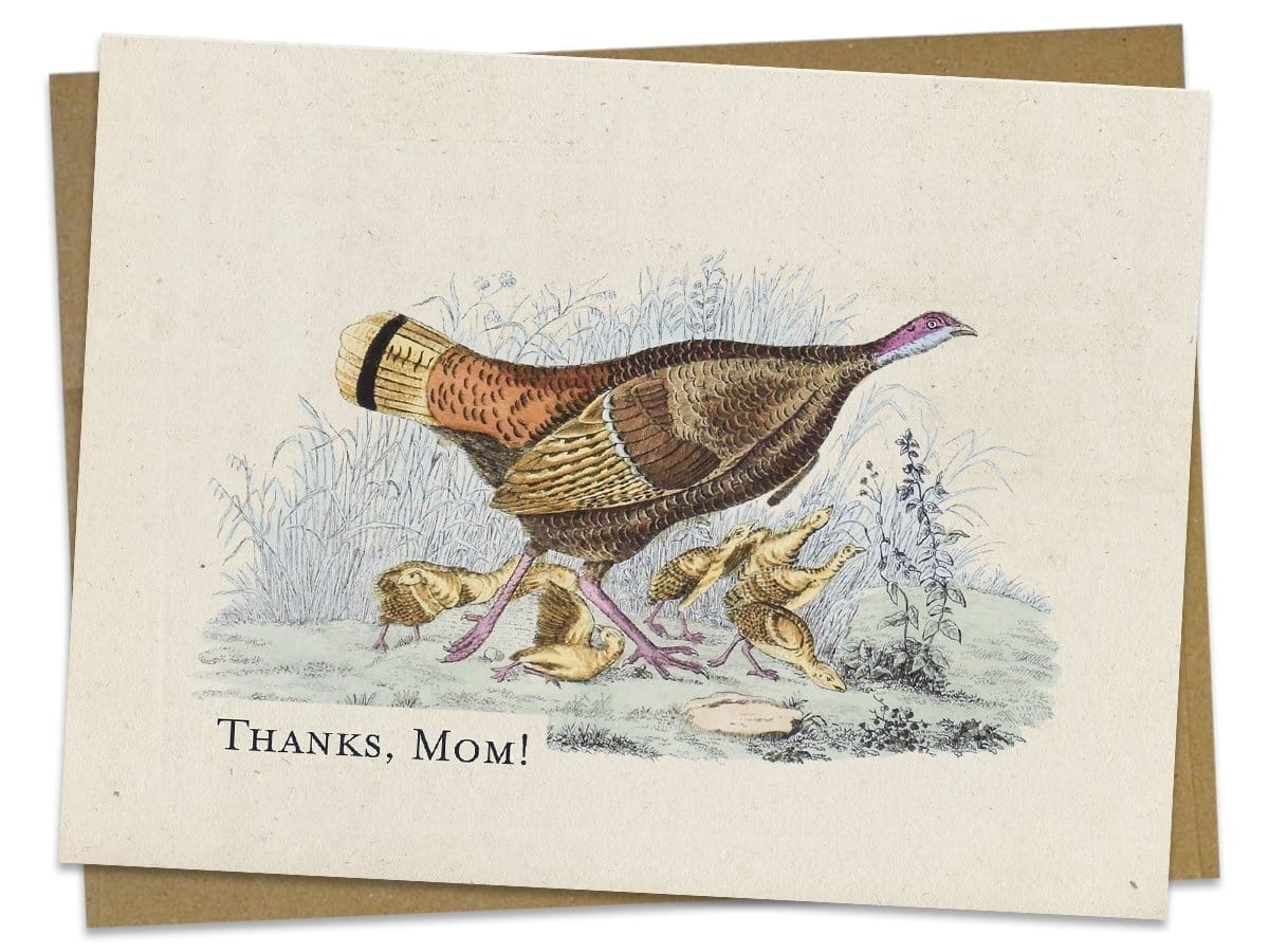 Thanks, Mom! Turkey Hen & Young Card Cognitive Surplus
